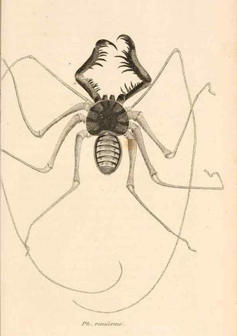 Reproducción/Reproduction 49830181412: General zoology, or Systematic natural history. London,Printed for G. Kearsley,1800-1826.. 