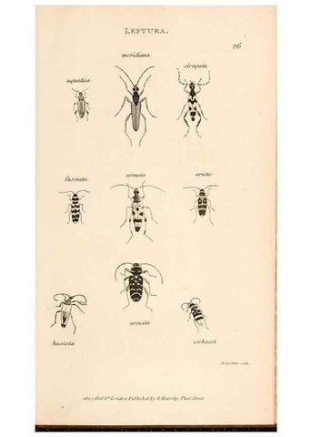 Reproducción/Reproduction 49827205541: General zoology, or Systematic natural history. London,Printed for G. Kearsley,1800-1826.. 