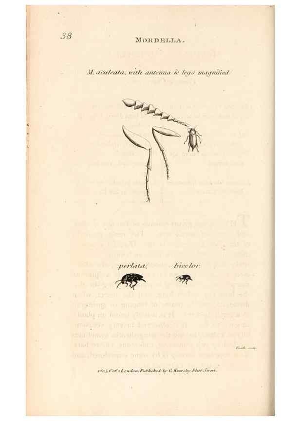Reproducción/Reproduction 49827523512: General zoology, or Systematic natural history. London,Printed for G. Kearsley,1800-1826.. 