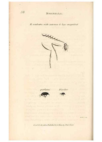 Reproducción/Reproduction 49827523512: General zoology, or Systematic natural history. London,Printed for G. Kearsley,1800-1826.. 