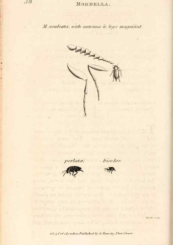 Reproducción/Reproduction 49827523512: General zoology, or Systematic natural history. London,Printed for G. Kearsley,1800-1826.. 