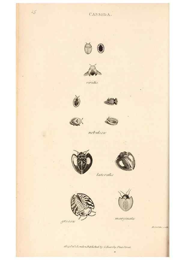 Reproducción/Reproduction 49827515742: General zoology, or Systematic natural history. London,Printed for G. Kearsley,1800-1826.. 