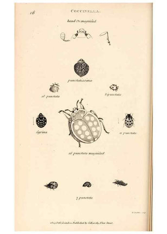 Reproducción/Reproduction 49827202046: General zoology, or Systematic natural history. London,Printed for G. Kearsley,1800-1826.. 