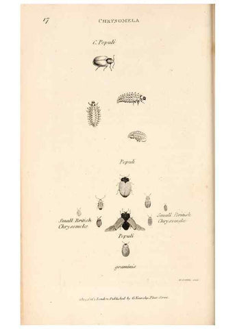 Reproducción/Reproduction 49827516537: General zoology, or Systematic natural history. London,Printed for G. Kearsley,1800-1826.. 