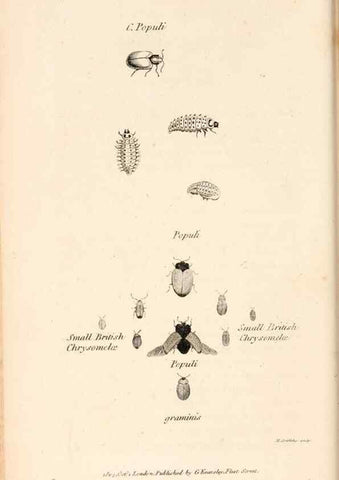 Reproducción/Reproduction 49827516537: General zoology, or Systematic natural history. London,Printed for G. Kearsley,1800-1826.. 