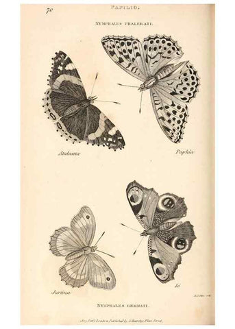Reproducción/Reproduction 49826688768: General zoology, or Systematic natural history. London,Printed for G. Kearsley,1800-1826.. 