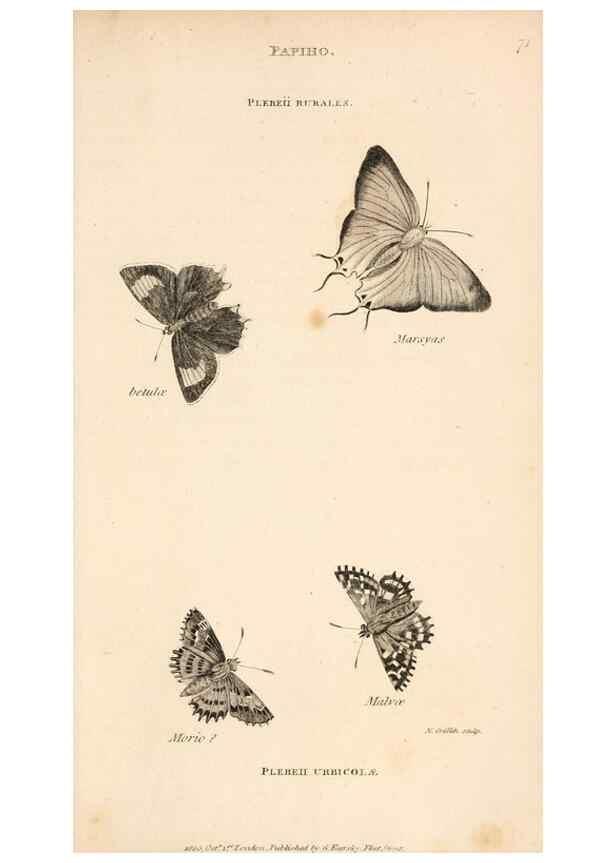Reproducción/Reproduction 49827220371: General zoology, or Systematic natural history. London,Printed for G. Kearsley,1800-1826.. 