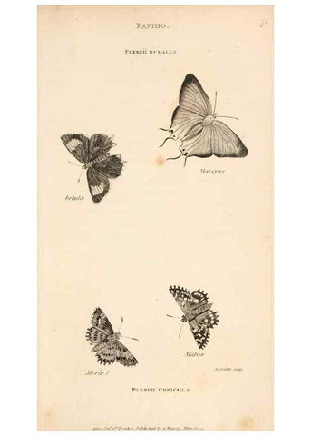 Reproducción/Reproduction 49827220371: General zoology, or Systematic natural history. London,Printed for G. Kearsley,1800-1826.. 