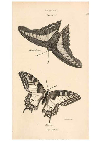 Reproducción/Reproduction 49827217636: General zoology, or Systematic natural history. London,Printed for G. Kearsley,1800-1826.. 