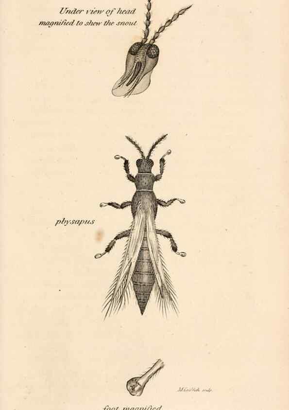 Reproducción/Reproduction 49827217246: General zoology, or Systematic natural history. London,Printed for G. Kearsley,1800-1826.. 