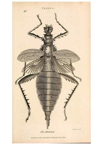 Reproducción/Reproduction 49827211631: General zoology, or Systematic natural history. London,Printed for G. Kearsley,1800-1826.. 