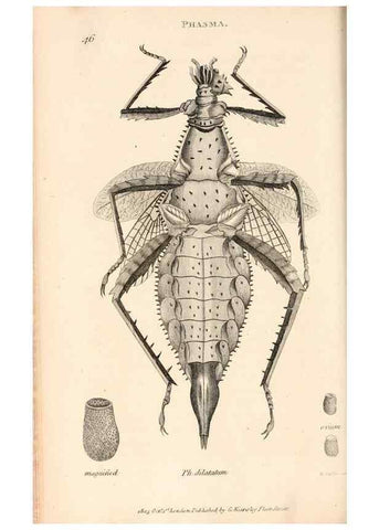 Reproducción/Reproduction 49827211901: General zoology, or Systematic natural history. London,Printed for G. Kearsley,1800-1826.. 