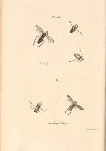 Reproducción/Reproduction 49827214511: General zoology, or Systematic natural history. London,Printed for G. Kearsley,1800-1826.. 