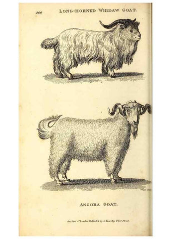 Reproducción/Reproduction 49826854777: General zoology, or Systematic natural history. London,Printed for G. Kearsley,1800-1826.. 