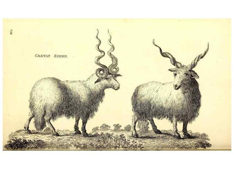 Reproducción/Reproduction 49826006453: General zoology, or Systematic natural history. London,Printed for G. Kearsley,1800-1826.. 