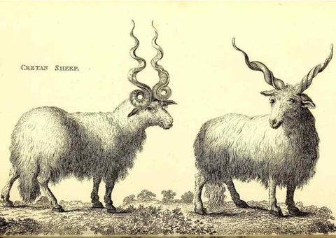 Reproducción/Reproduction 49826006453: General zoology, or Systematic natural history. London,Printed for G. Kearsley,1800-1826.. 