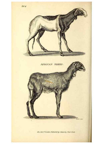 Reproducción/Reproduction 49826006893: General zoology, or Systematic natural history. London,Printed for G. Kearsley,1800-1826.. 
