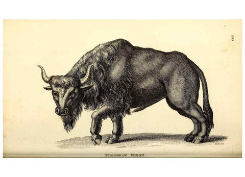 Reproducción/Reproduction 49826007258: General zoology, or Systematic natural history. London,Printed for G. Kearsley,1800-1826.. 