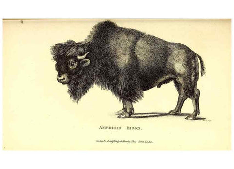 Reproducción/Reproduction 49826007643: General zoology, or Systematic natural history. London,Printed for G. Kearsley,1800-1826.. 