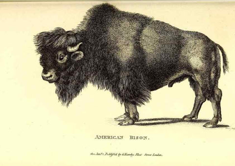 Reproducción/Reproduction 49826007643: General zoology, or Systematic natural history. London,Printed for G. Kearsley,1800-1826.. 