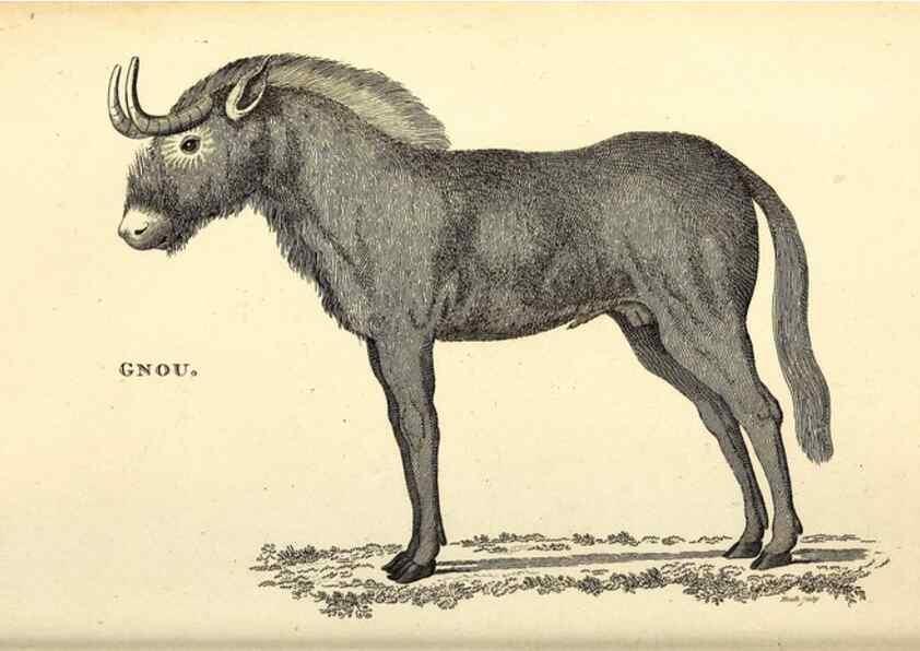 Reproducción/Reproduction 49826853832: General zoology, or Systematic natural history. London,Printed for G. Kearsley,1800-1826.. 