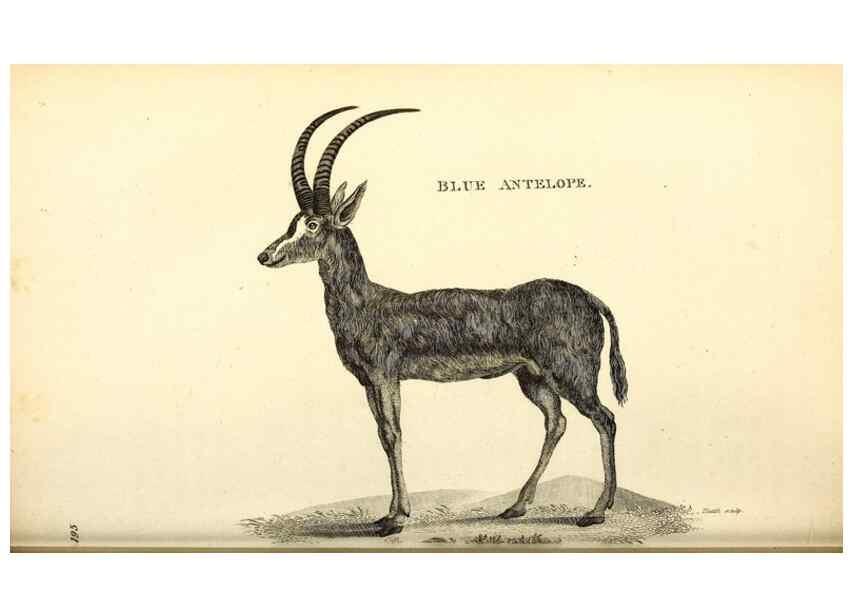Reproducción/Reproduction 49826853512: General zoology, or Systematic natural history. London,Printed for G. Kearsley,1800-1826.. 