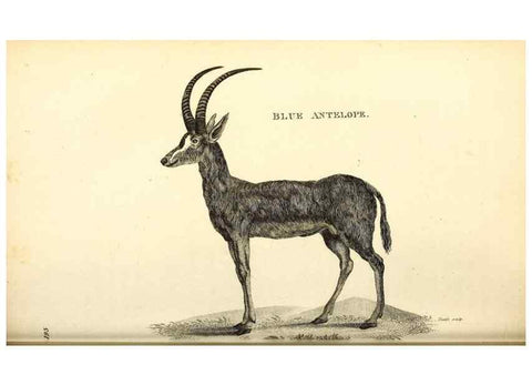 Reproducción/Reproduction 49826853512: General zoology, or Systematic natural history. London,Printed for G. Kearsley,1800-1826.. 