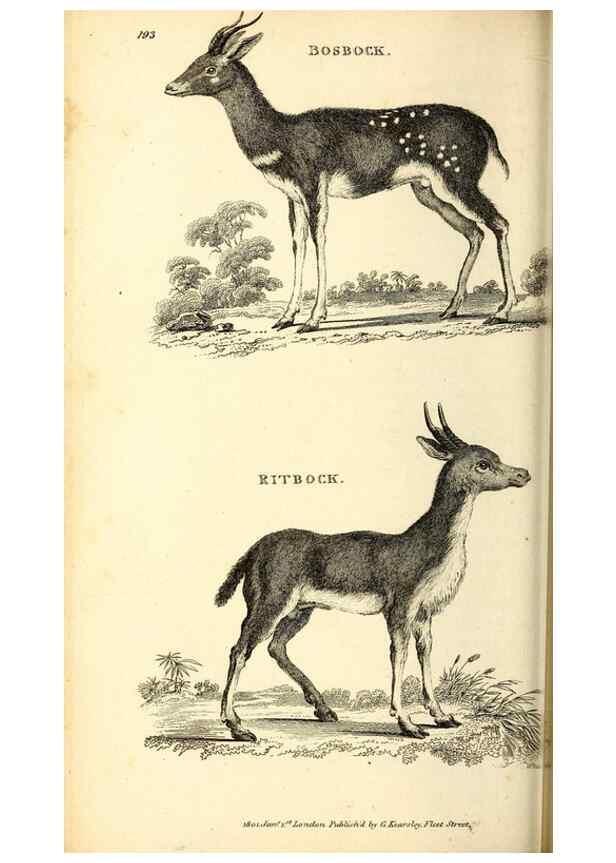 Reproducción/Reproduction 49826536331: General zoology, or Systematic natural history. London,Printed for G. Kearsley,1800-1826.. 