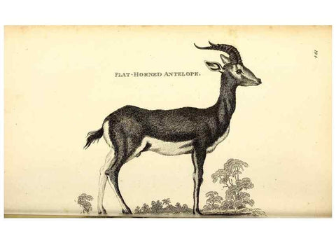 Reproducción/Reproduction 49826003738: General zoology, or Systematic natural history. London,Printed for G. Kearsley,1800-1826.. 
