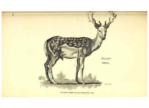 Reproducción/Reproduction 49826848277: General zoology, or Systematic natural history. London,Printed for G. Kearsley,1800-1826.. 