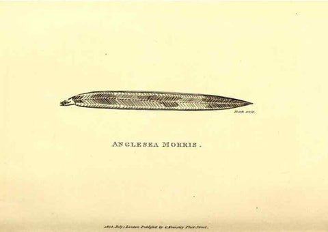 Reproducción/Reproduction 49826961487: General zoology, or Systematic natural history. London,Printed for G. Kearsley,1800-1826.. 