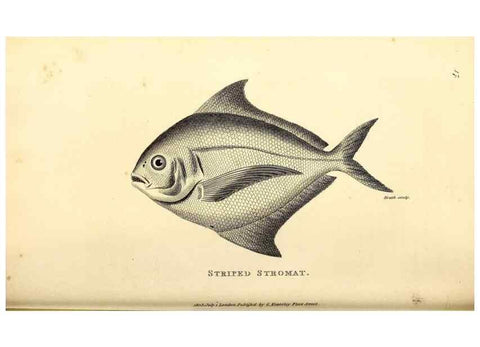 Reproducción/Reproduction 49826963137: General zoology, or Systematic natural history. London,Printed for G. Kearsley,1800-1826.. 