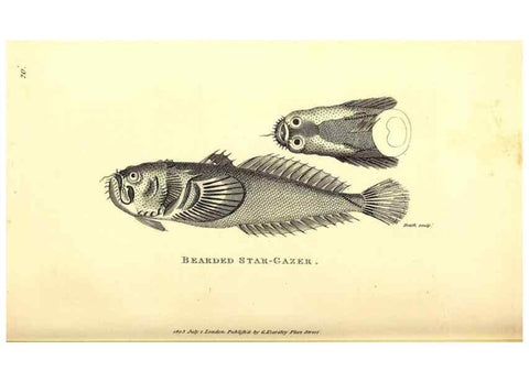 Reproducción/Reproduction 49826963957: General zoology, or Systematic natural history. London,Printed for G. Kearsley,1800-1826.. 