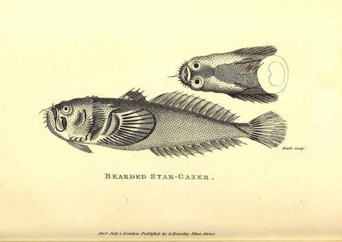 Reproducción/Reproduction 49826963957: General zoology, or Systematic natural history. London,Printed for G. Kearsley,1800-1826.. 