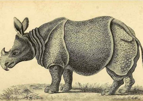 Reproducción/Reproduction 49826742362: General zoology, or Systematic natural history. London,Printed for G. Kearsley,1800-1826.. 