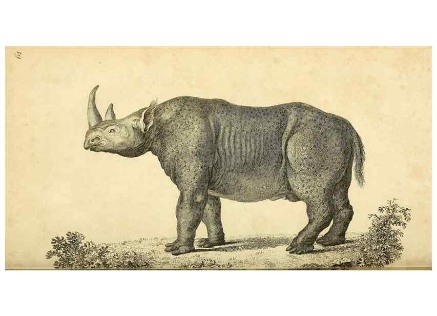 Reproducción/Reproduction 49826426551: General zoology, or Systematic natural history. London,Printed for G. Kearsley,1800-1826.. 
