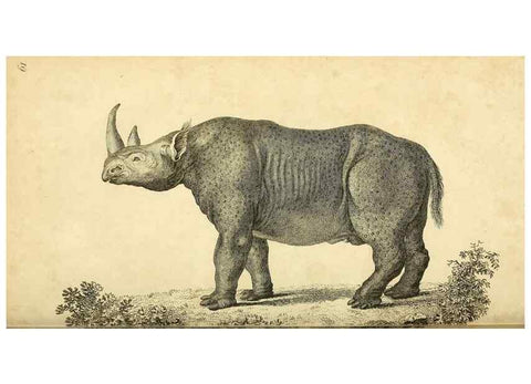 Reproducción/Reproduction 49826426551: General zoology, or Systematic natural history. London,Printed for G. Kearsley,1800-1826.. 