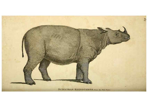 Reproducción/Reproduction 49826427016: General zoology, or Systematic natural history. London,Printed for G. Kearsley,1800-1826.. 