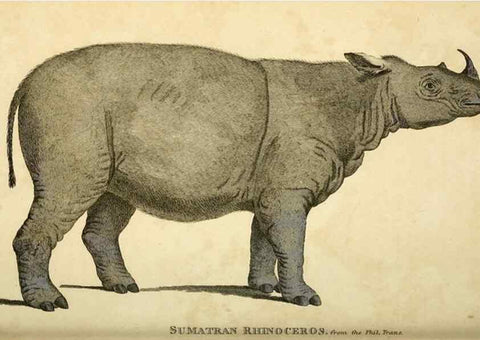 Reproducción/Reproduction 49826427016: General zoology, or Systematic natural history. London,Printed for G. Kearsley,1800-1826.. 