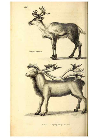 Reproducción/Reproduction 49826847747: General zoology, or Systematic natural history. London,Printed for G. Kearsley,1800-1826.. 