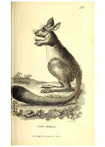 Reproducción/Reproduction 49825992888: General zoology, or Systematic natural history. London,Printed for G. Kearsley,1800-1826.. 