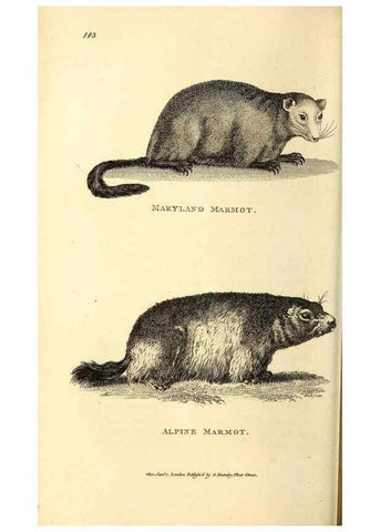 Reproducción/Reproduction 49826520716: General zoology, or Systematic natural history. London,Printed for G. Kearsley,1800-1826.. 