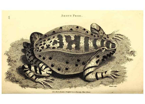 Reproducción/Reproduction 49826309033: General zoology, or Systematic natural history. London,Printed for G. Kearsley,1800-1826.. 
