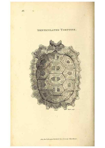 Reproducción/Reproduction 49826835441: General zoology, or Systematic natural history. London,Printed for G. Kearsley,1800-1826.. 