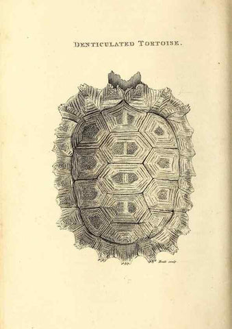 Reproducción/Reproduction 49826835441: General zoology, or Systematic natural history. London,Printed for G. Kearsley,1800-1826.. 