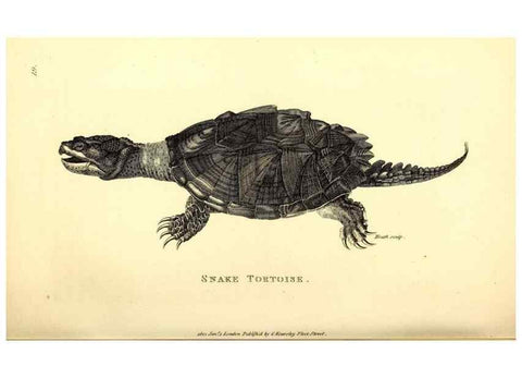 Reproducción/Reproduction 49827152642: General zoology, or Systematic natural history. London,Printed for G. Kearsley,1800-1826.. 