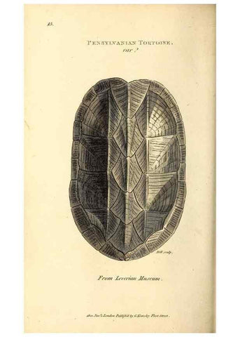 Reproducción/Reproduction 49827151212: General zoology, or Systematic natural history. London,Printed for G. Kearsley,1800-1826.. 