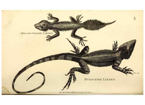 Reproducción/Reproduction 49826853511: General zoology, or Systematic natural history. London,Printed for G. Kearsley,1800-1826.. 