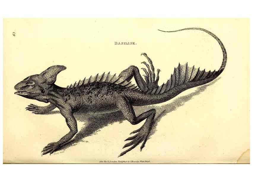 Reproducción/Reproduction 49827167597: General zoology, or Systematic natural history. London,Printed for G. Kearsley,1800-1826.. 