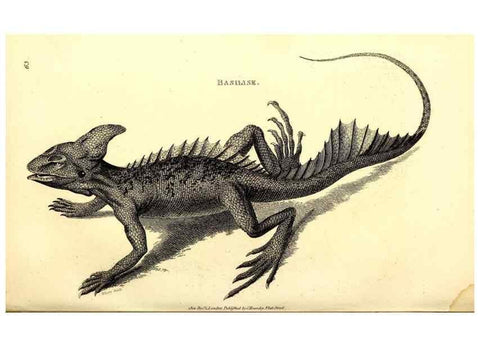 Reproducción/Reproduction 49827167597: General zoology, or Systematic natural history. London,Printed for G. Kearsley,1800-1826.. 